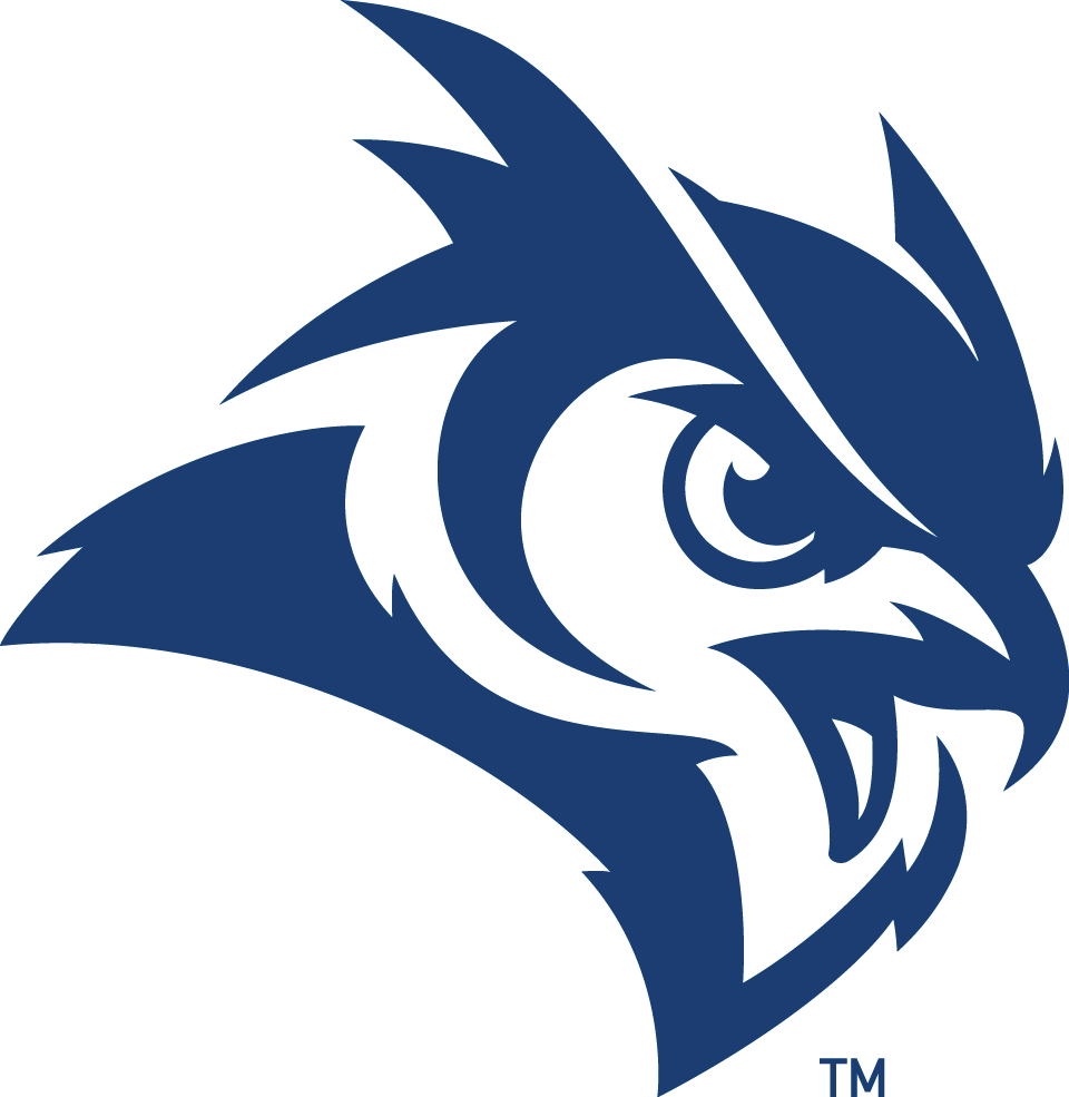 Rice Owls 2017-Pres Secondary Logo iron on transfers for T-shirts